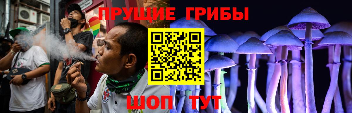 Семёнов  Галлюциногенные грибы Psilocybine cubensis  Галлюциногенные грибы Magic Shrooms  Вход с VPN 